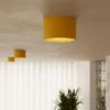 Plafon MODO 1 żółty Gx53